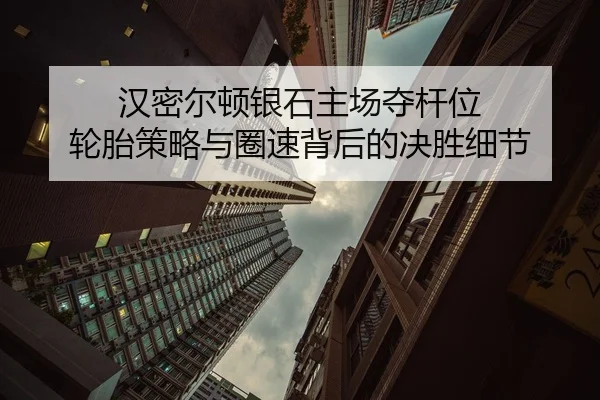 han-mi-er-dun-yin-shi-zhu-chang-duo-gan-wei-lun-tai-ce-lve-yu-quan-su-bei-hou-de-jue-sheng-xi-jie-3-815.jpg