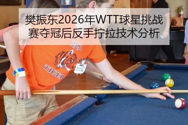樊振东2026年WTT球星挑战赛夺冠后反手拧拉技术分析